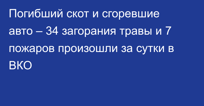 Погибший скот и сгоревшие авто – 34 загорания травы и 7 пожаров произошли за сутки в ВКО