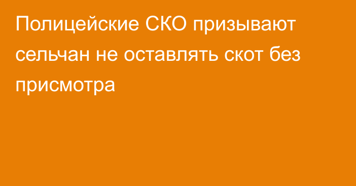 Полицейские СКО призывают сельчан не оставлять скот без присмотра