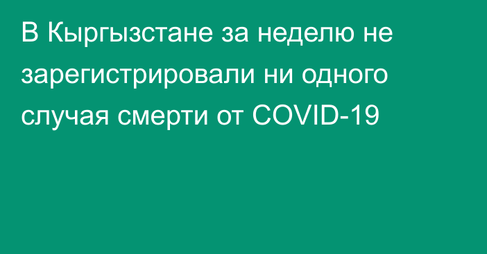 В Кыргызстане за неделю не зарегистрировали ни одного случая смерти от COVID-19