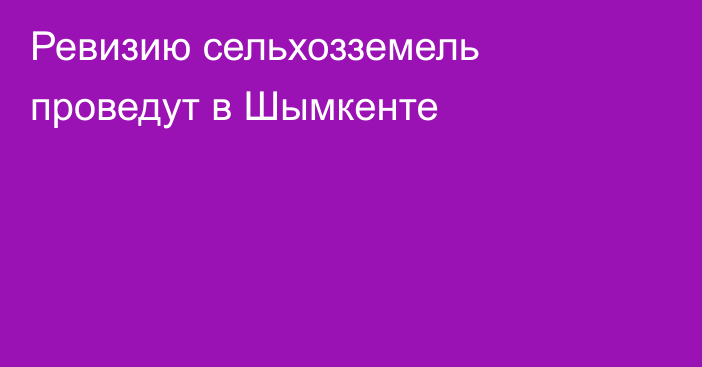 Ревизию сельхозземель проведут в Шымкенте