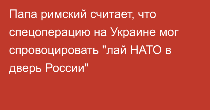 Папа римский считает, что спецоперацию на Украине мог спровоцировать 