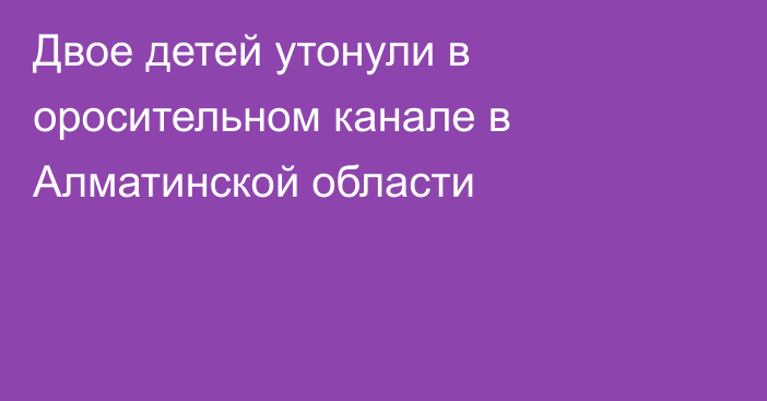 Двое детей утонули в оросительном канале в Алматинской области