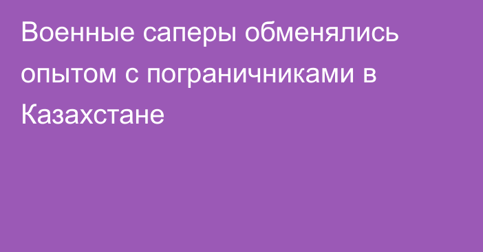 Военные саперы обменялись опытом с пограничниками в Казахстане