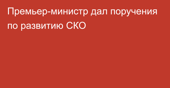 Премьер-министр дал поручения по развитию СКО