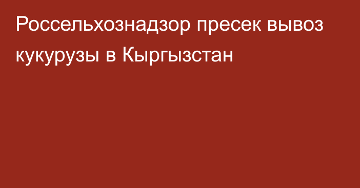 Россельхознадзор пресек вывоз кукурузы в Кыргызстан