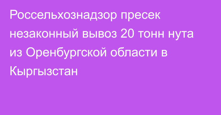 Россельхознадзор пресек незаконный вывоз 20 тонн нута из Оренбургской области в Кыргызстан