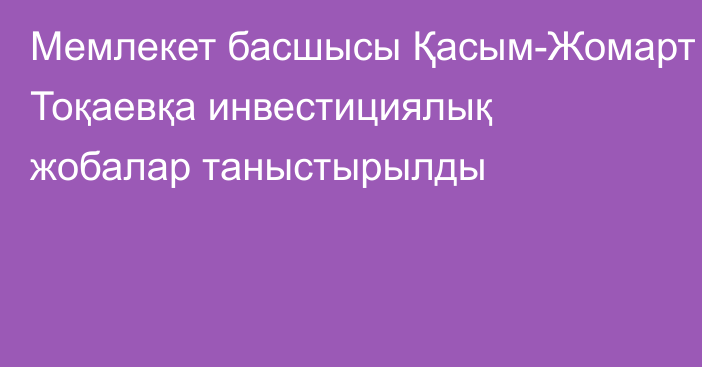 Мемлекет басшысы Қасым-Жомарт Тоқаевқа инвестициялық жобалар таныстырылды