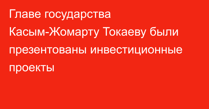 Главе государства Касым-Жомарту Токаеву были презентованы инвестиционные проекты