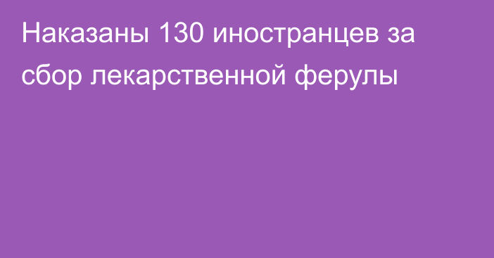 Наказаны 130 иностранцев за сбор лекарственной ферулы