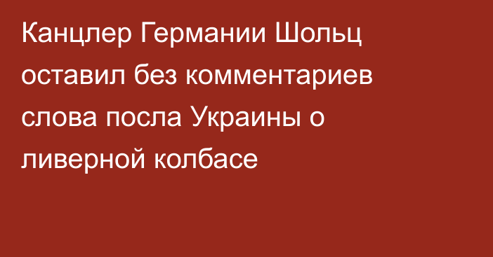 Канцлер Германии Шольц оставил без комментариев слова посла Украины о ливерной колбасе