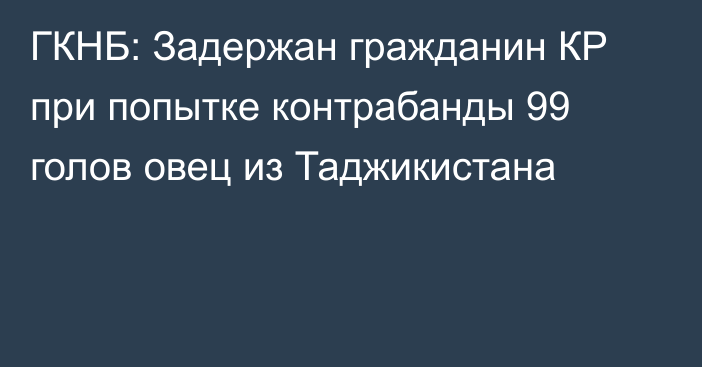 ГКНБ: Задержан гражданин КР при попытке контрабанды 99 голов овец из Таджикистана