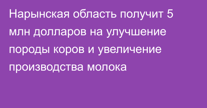 Нарынская область получит 5 млн долларов на улучшение породы коров и увеличение производства молока