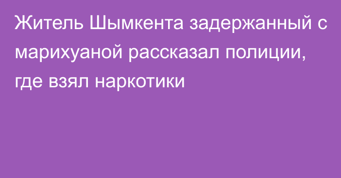 Житель Шымкента задержанный с марихуаной рассказал полиции, где взял наркотики