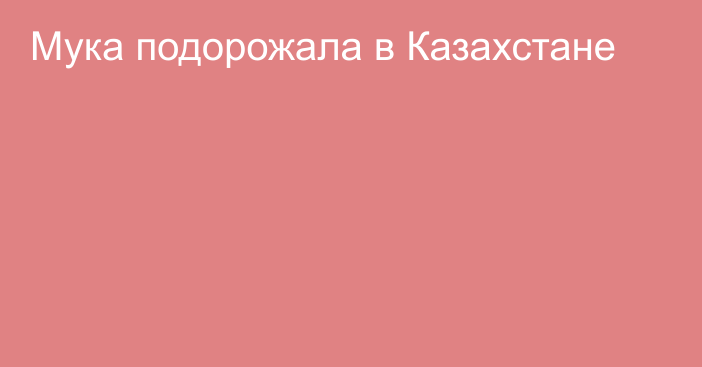  Мука подорожала в Казахстане