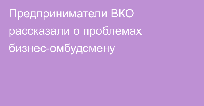 Предприниматели ВКО рассказали о проблемах бизнес-омбудсмену