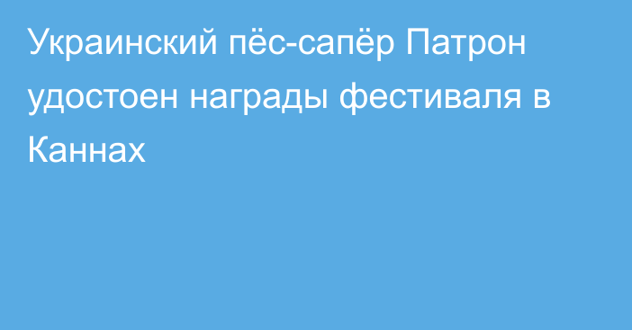 Украинский пёс-сапёр Патрон удостоен награды фестиваля в Каннах