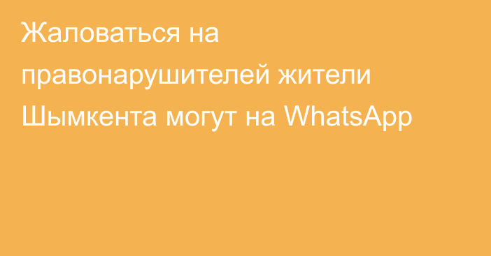 Жаловаться на правонарушителей жители Шымкента могут на WhatsApp