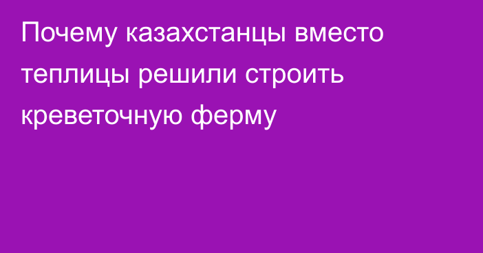 Почему казахстанцы вместо теплицы решили строить креветочную ферму