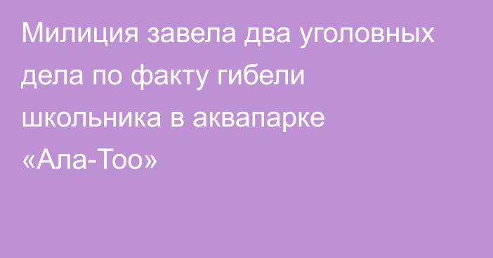 Милиция завела два уголовных дела по факту гибели школьника в аквапарке «Ала-Тоо»