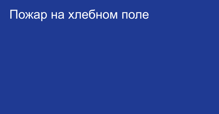 Пожар на хлебном поле