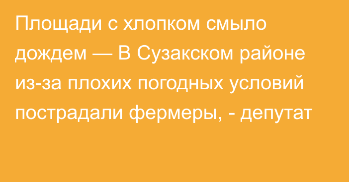 Площади с хлопком смыло дождем — В Сузакском районе из-за плохих погодных условий пострадали фермеры, - депутат