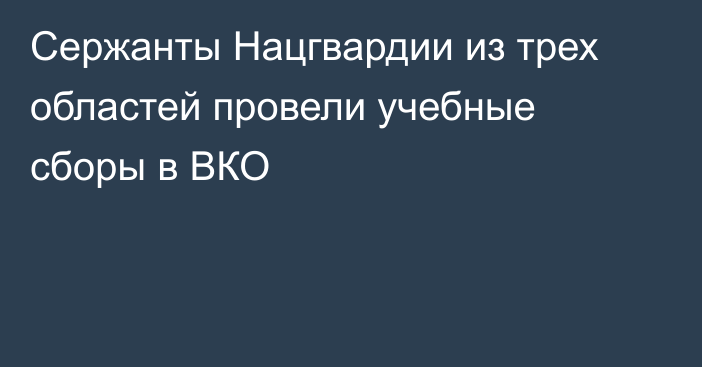 Сержанты Нацгвардии из трех областей провели учебные сборы в ВКО