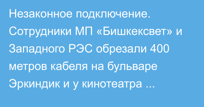 Незаконное подключение. Сотрудники МП «Бишкексвет» и Западного РЭС обрезали 400 метров кабеля на бульваре Эркиндик и у кинотеатра «Ала-Тоо»