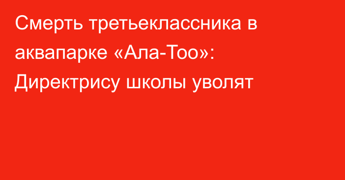 Смерть третьеклассника в аквапарке «Ала-Тоо»: Директрису школы уволят