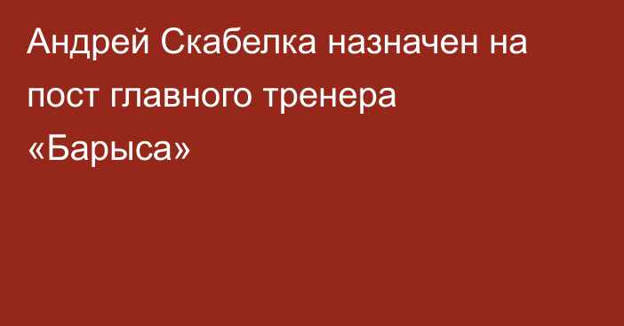 Андрей Скабелка назначен на пост главного тренера «Барыса»