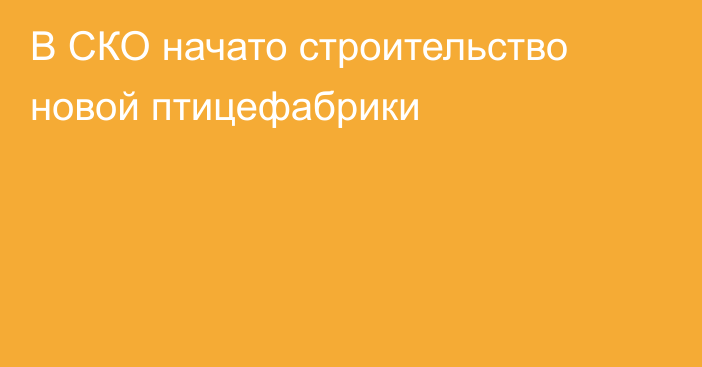 В СКО начато строительство новой птицефабрики