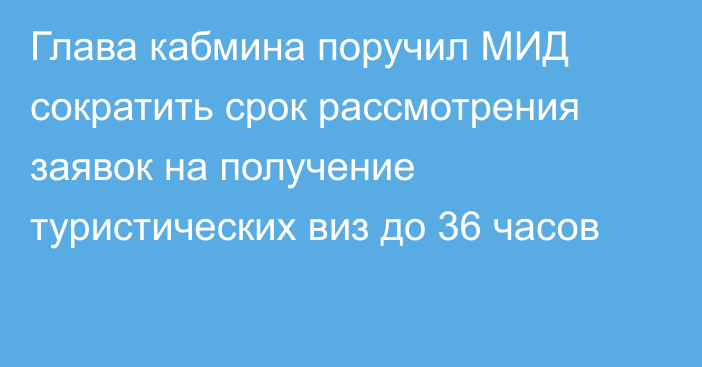 Глава кабмина поручил МИД сократить срок рассмотрения заявок на получение туристических виз до 36 часов