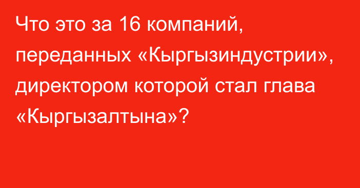 Что это за 16 компаний, переданных «Кыргызиндустрии», директором которой стал глава «Кыргызалтына»?