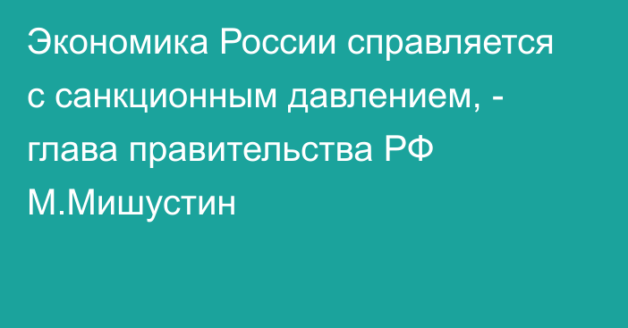 Экономика России справляется с санкционным давлением, - глава правительства РФ М.Мишустин