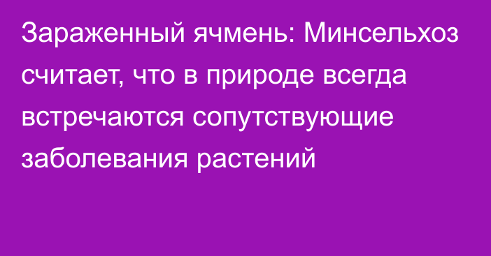 Зараженный ячмень: Минсельхоз считает, что в природе всегда встречаются сопутствующие заболевания растений