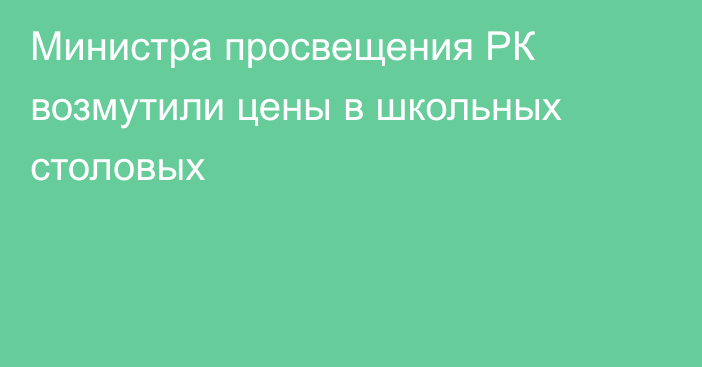 Министра просвещения РК возмутили цены в школьных столовых