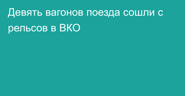 Девять вагонов поезда сошли с рельсов в ВКО