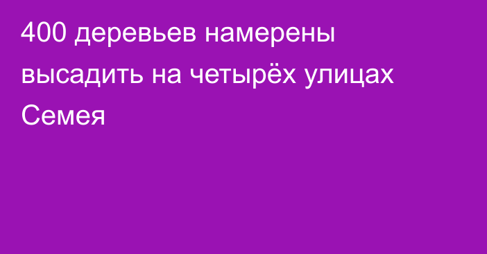 400 деревьев намерены высадить на четырёх улицах Семея