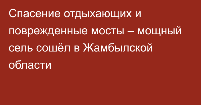 Спасение отдыхающих и поврежденные мосты – мощный сель сошёл в Жамбылской области