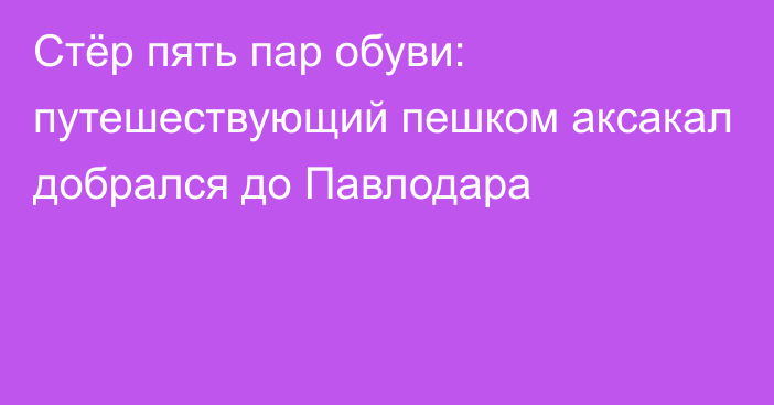 Стёр пять пар обуви: путешествующий пешком аксакал добрался до Павлодара