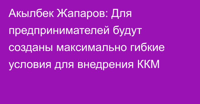 Акылбек Жапаров: Для предпринимателей будут созданы максимально гибкие условия для внедрения ККМ