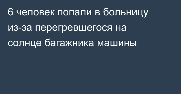 6 человек попали в больницу из-за перегревшегося на солнце багажника машины