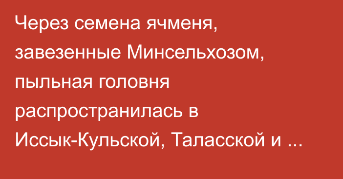 Через семена ячменя, завезенные Минсельхозом, пыльная головня распространилась в Иссык-Кульской, Таласской и Чуйской областях, - ученый Акималиев