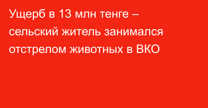 Ущерб в 13 млн тенге – сельский житель занимался отстрелом животных в ВКО