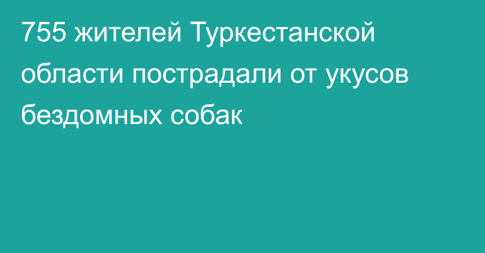 755 жителей Туркестанской области пострадали от укусов бездомных собак