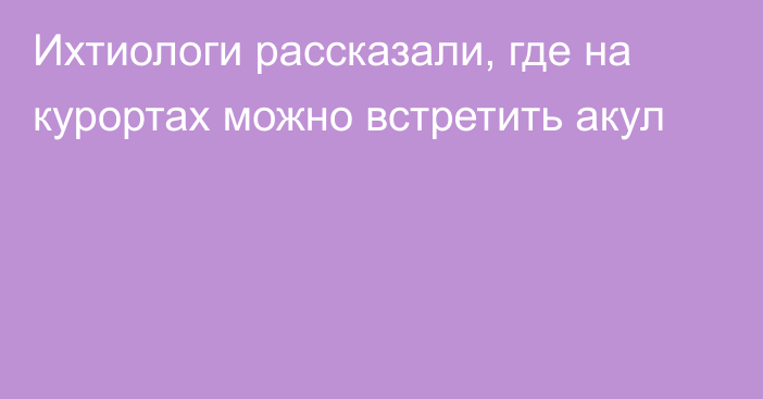 Ихтиологи рассказали, где на курортах можно встретить акул