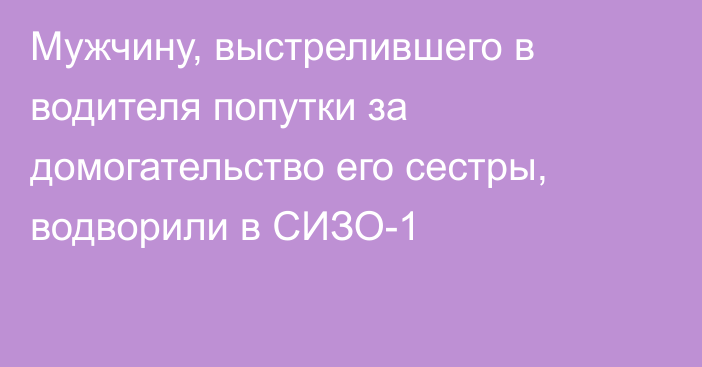 Мужчину, выстрелившего в водителя попутки за домогательство его сестры, водворили в СИЗО-1