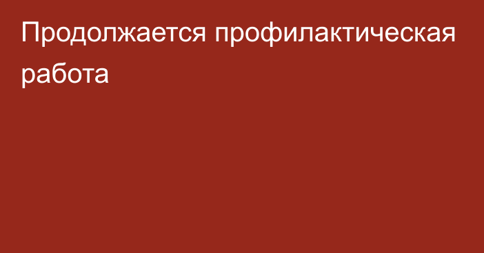 Продолжается профилактическая работа