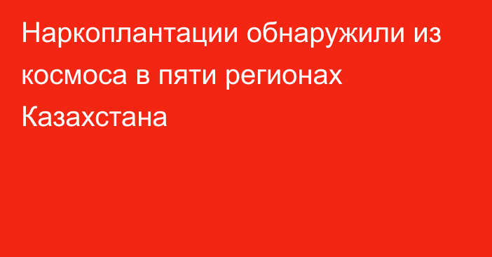 Наркоплантации обнаружили из космоса в пяти регионах Казахстана