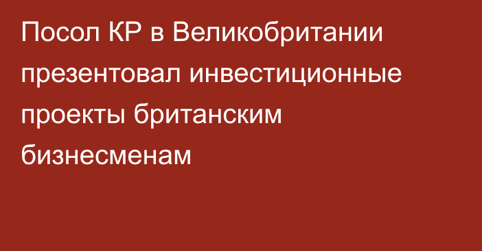 Посол КР в Великобритании презентовал инвестиционные проекты британским бизнесменам