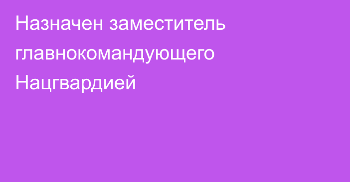 Назначен заместитель главнокомандующего Нацгвардией